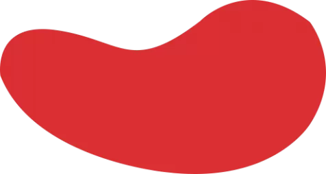 摩登体育(中国区)官方直营平台